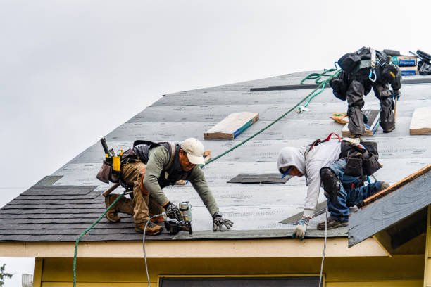 Professional Gutter Installation technician working in Plainview, TN